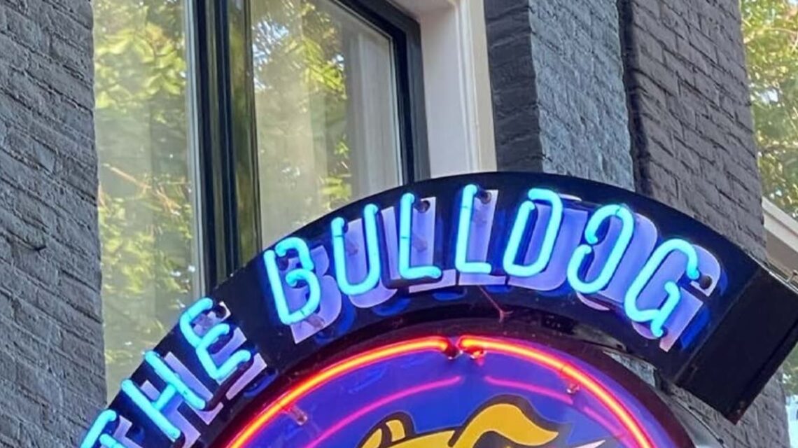 Redescobrindo Amsterdam: conforto, história e boa companhia